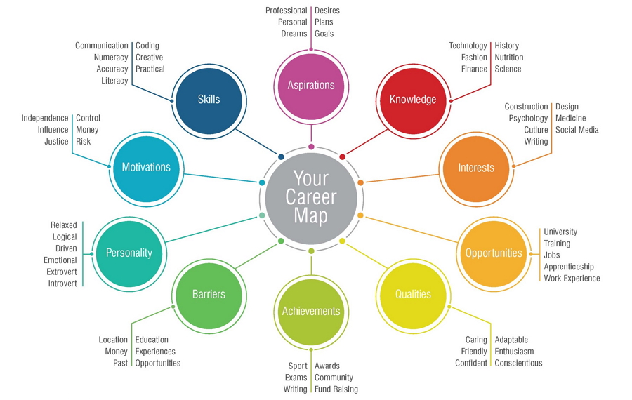Career exploration mind map